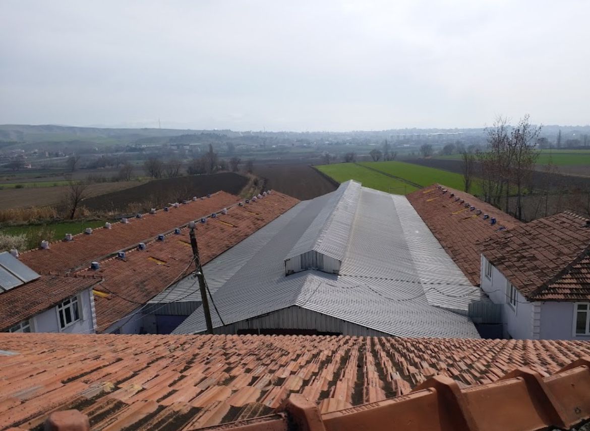 MABEL'DEN KURULU DÜZEN BESİ ÇİFTLİĞİ